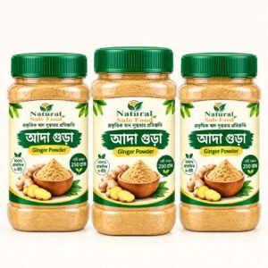 Ginger powder - আদা গুড়া